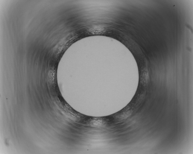 X0000103950604200810171840
