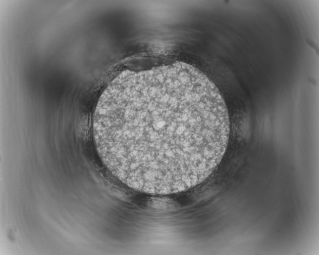 X0000103950605200810171840