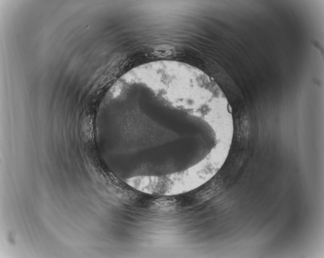 X0000103950606200810171840