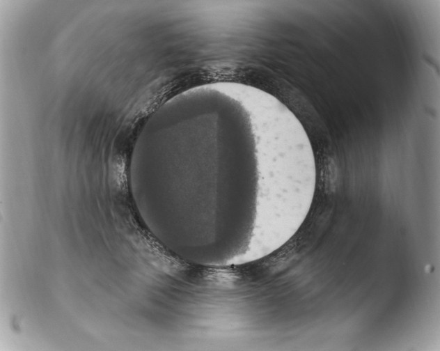 X0000103950610200810171840