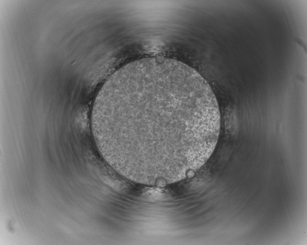 X0000103950611200810171840