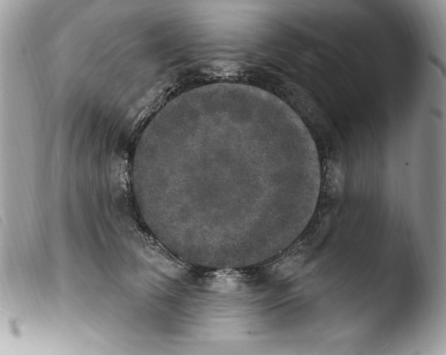 X0000103950612200810171840