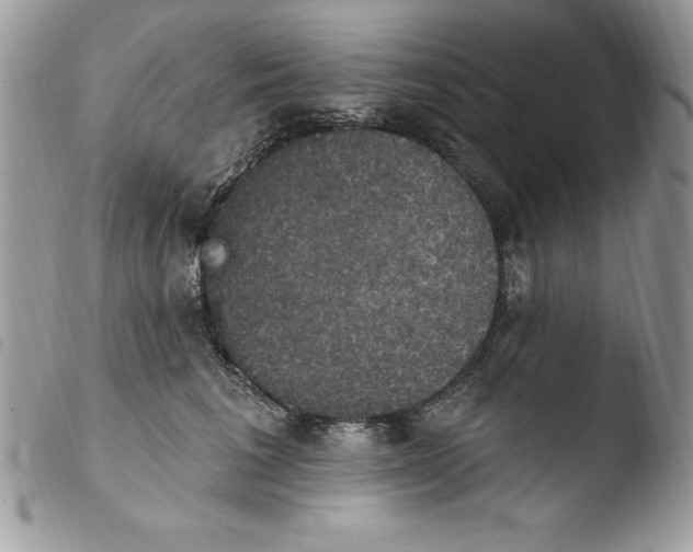 X0000103950613200810171840
