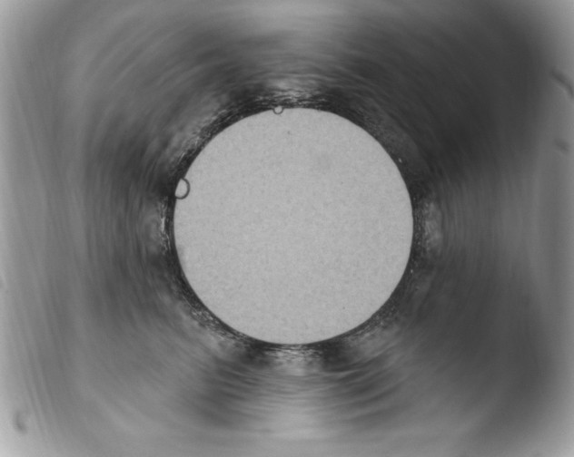 X0000103950615200810171840