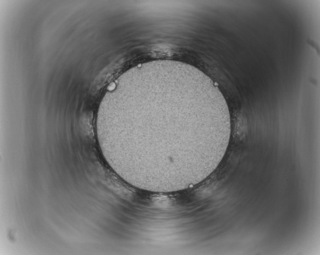 X0000103950616200810171840