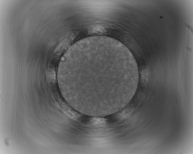 X0000103950617200810171840