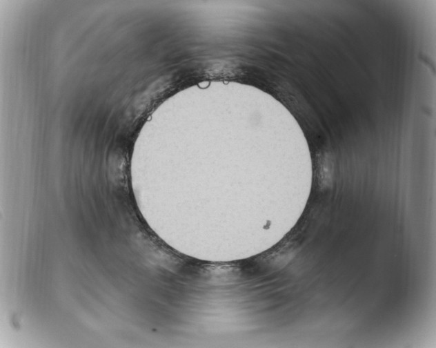 X0000103950619200810171840