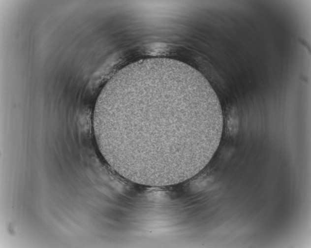 X0000103950620200810171840