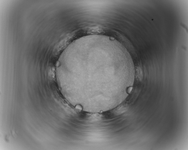 X0000103950621200810171840