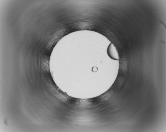 X0000103950622200810171840