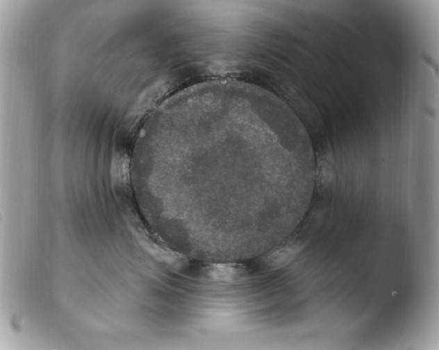 X0000103950623200810171840