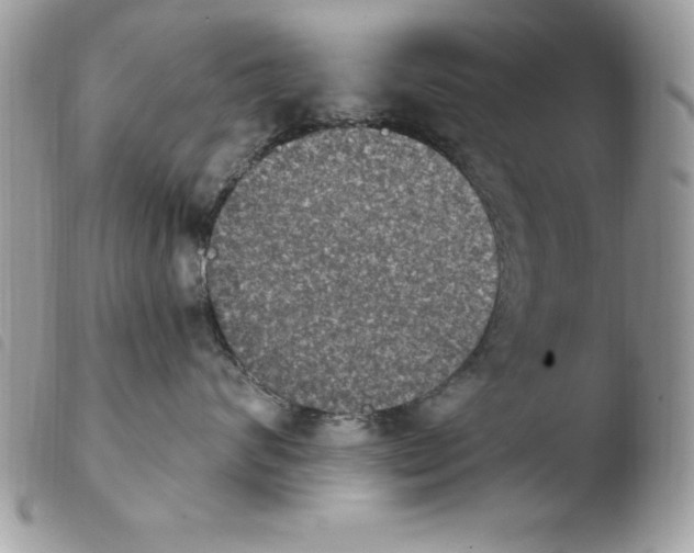 X0000103950624200810171840