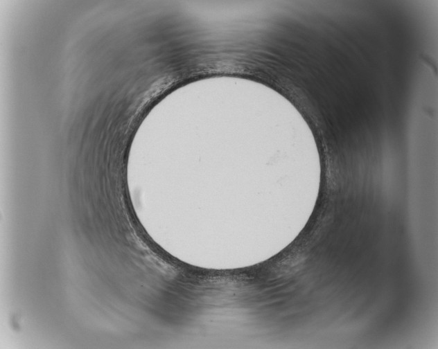 X0000103950625200810171839