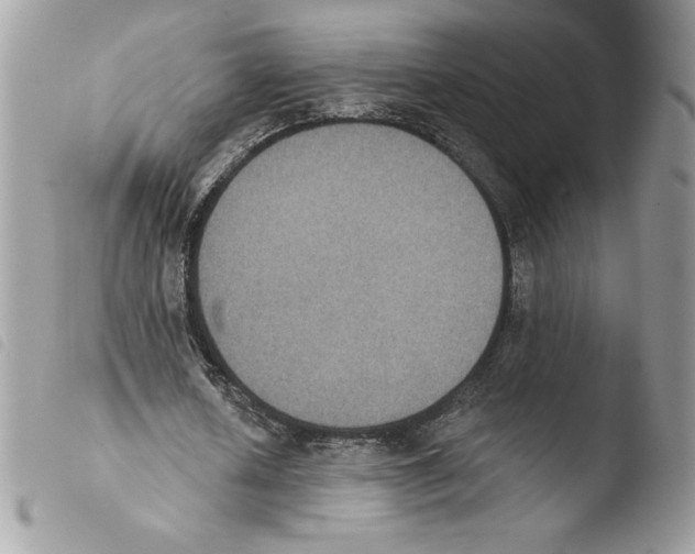 X0000103950626200810171839