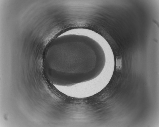 X0000103950627200810171839
