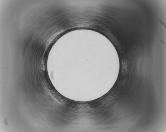 X0000103950628200810171839