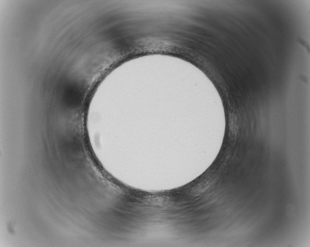 X0000103950629200810171839