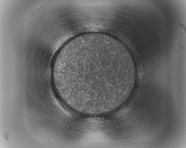 X0000103950630200810171839
