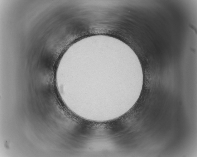 X0000103950631200810171839