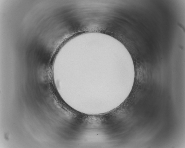 X0000103950632200810171839