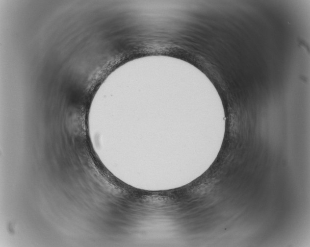 X0000103950633200810171839
