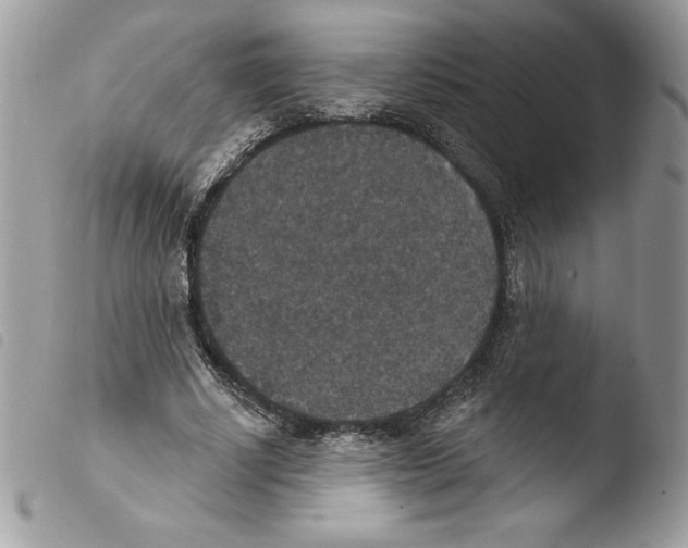 X0000103950634200810171839