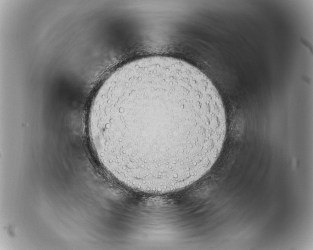 X0000103950635200810171839