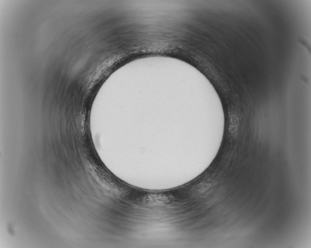 X0000103950636200810171839