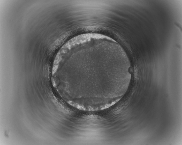 X0000103950637200810171839