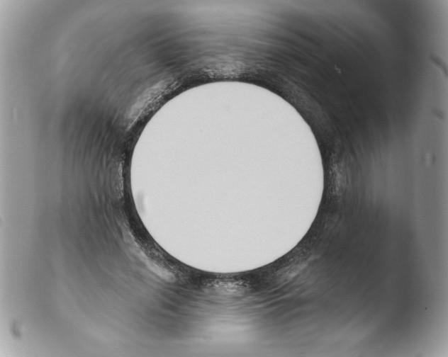X0000103950638200810171839