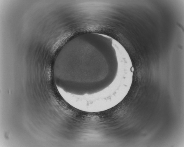 X0000103950640200810171839