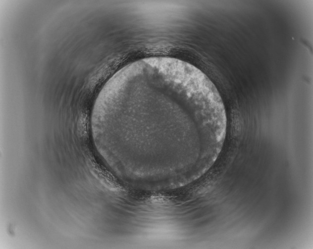 X0000103950641200810171839
