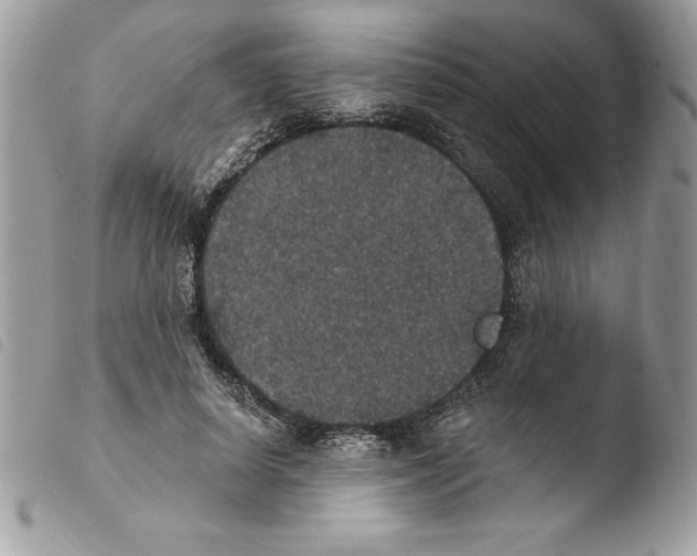 X0000103950642200810171839