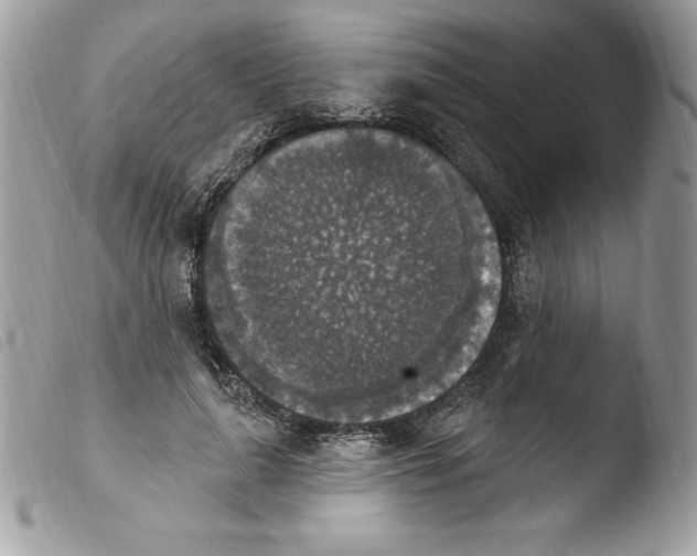 X0000103950643200810171839
