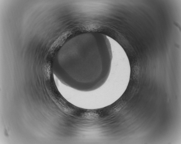 X0000103950644200810171839