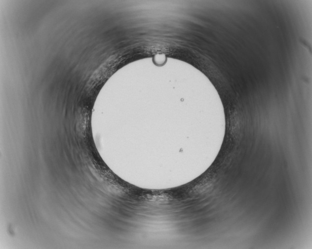 X0000103950645200810171839
