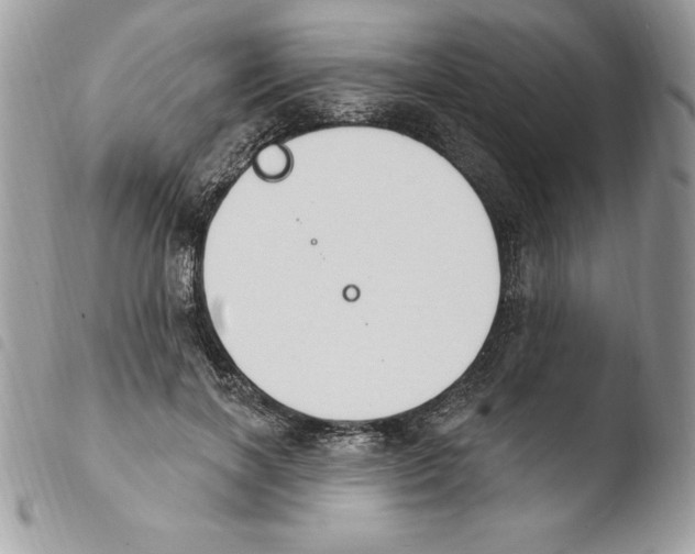 X0000103950646200810171839
