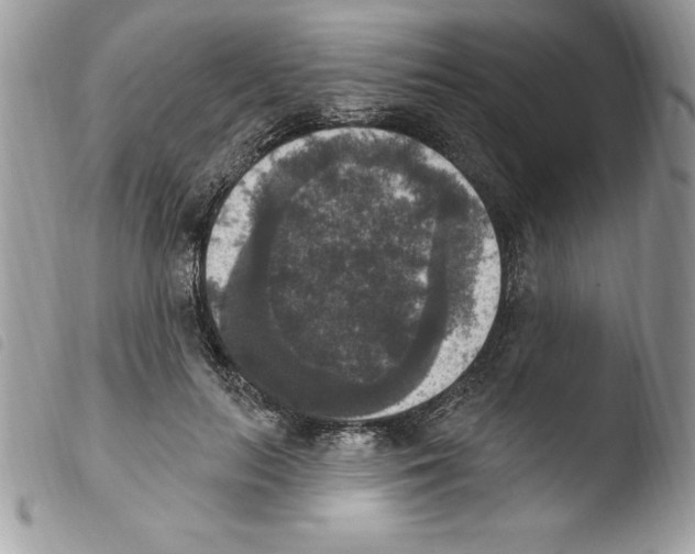 X0000103950647200810171839