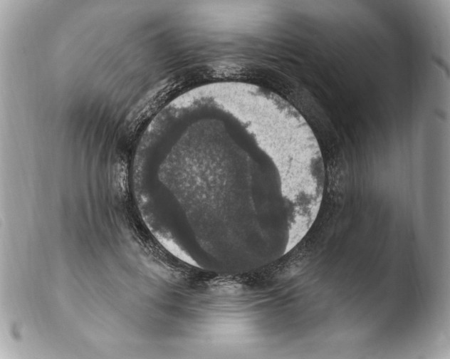 X0000103950648200810171839