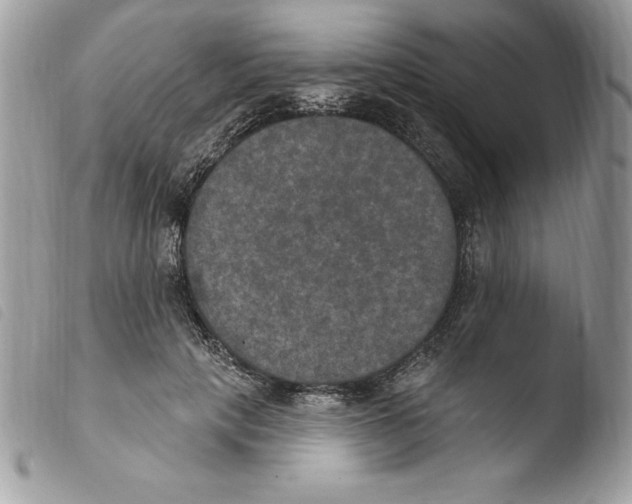 X0000103950649200810171839