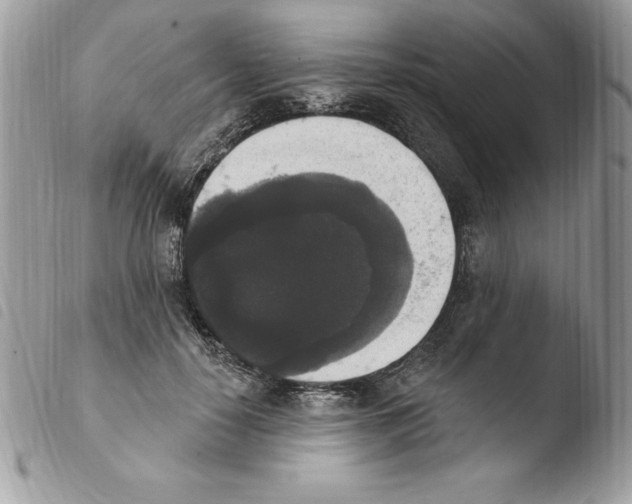 X0000103950650200810171839