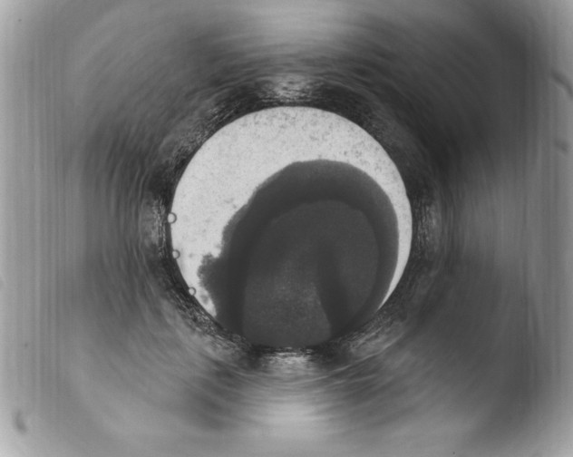 X0000103950651200810171839