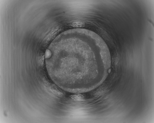 X0000103950652200810171839
