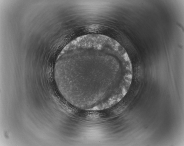 X0000103950653200810171839