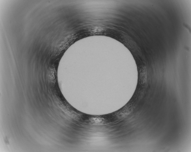 X0000103950654200810171839