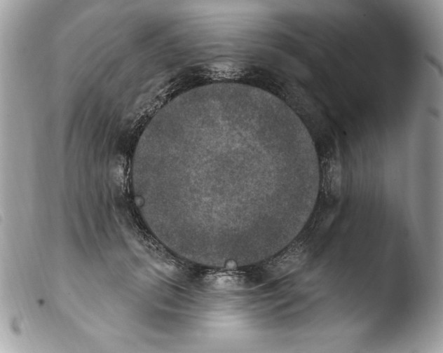 X0000103950655200810171839