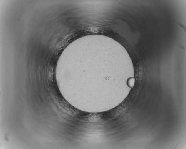 X0000103950656200810171839