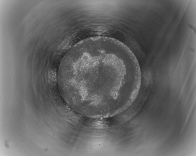 X0000103950657200810171839