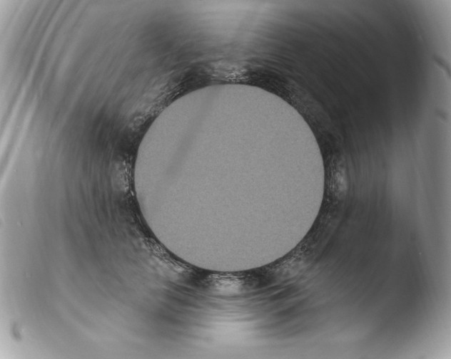 X0000103950658200810171839