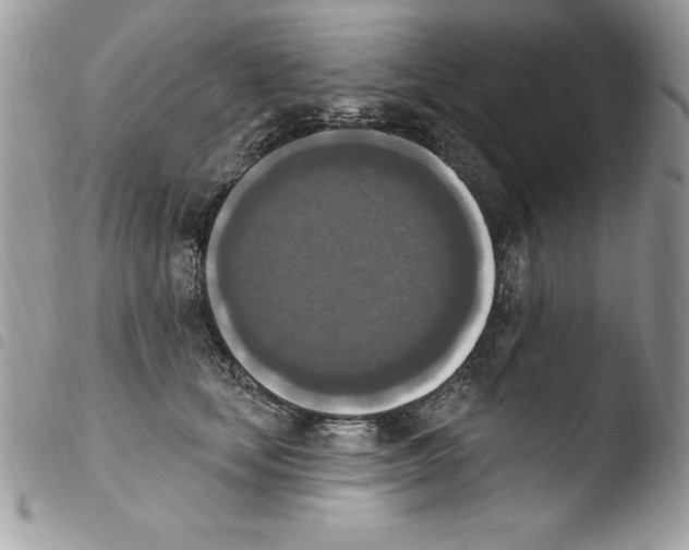 X0000103950659200810171839